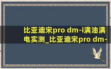 比亚迪宋pro dm-i满油满电实测_比亚迪宋pro dm-i满油满电